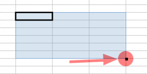 autofill autofill